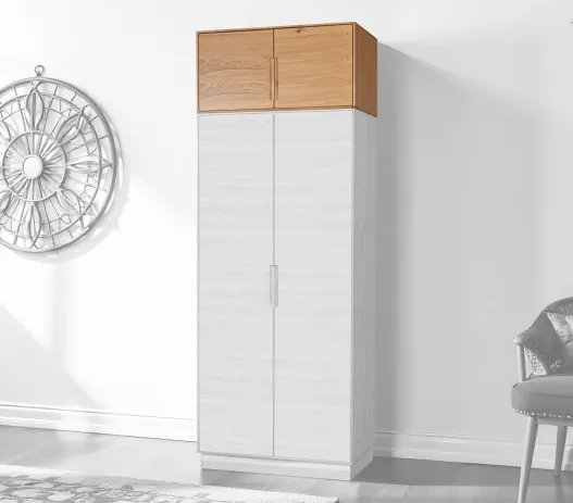 kasten-schwingel-plus-60-2tuerig-mitaufsatz-milieu-527x463-crop-50-50.webp