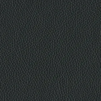 Leder schwarz