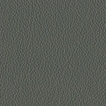 Leder grau